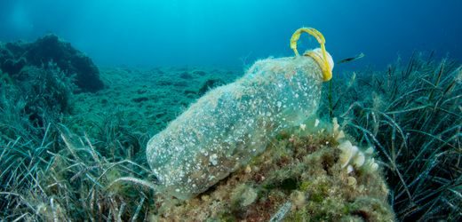 Weltweites Uno-Plastikabkommen: Worauf es jetzt beim Treffen in Busan ankommt