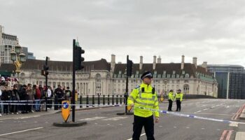 Westminster 'stabbing' incident bombshell as police give major update on victim