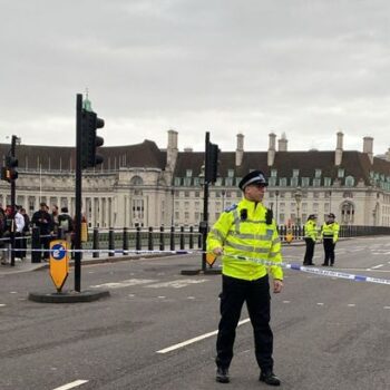 Westminster 'stabbing' incident bombshell as police give major update on victim