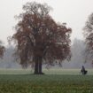 Herbstlich grau startet das Wochenende in Sachsen. Am Sonntag beginnt es zu regnen und im Bergland schneit es. (Symbolbild) Foto