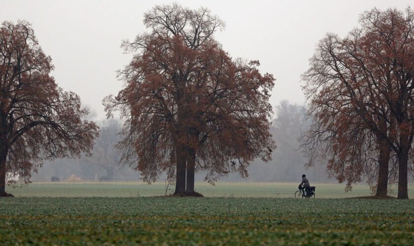 Herbstlich grau startet das Wochenende in Sachsen. Am Sonntag beginnt es zu regnen und im Bergland schneit es. (Symbolbild) Foto