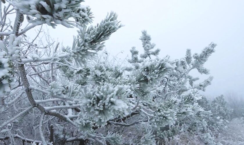 Wetterprognose: Der Winter meldet sich (kurz) an – erster Schnee in Deutschland