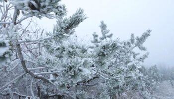 Wetterprognose: Der Winter meldet sich (kurz) an – erster Schnee in Deutschland