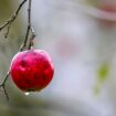 Die neue Woche startet mit Regen und Wind. Foto: Thomas Warnack/dpa