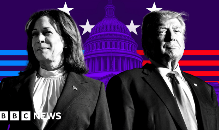 What are Harris and Trump's policies?