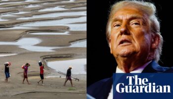 ‘A wrecking ball’: experts warn Trump’s win setbacks global climate action