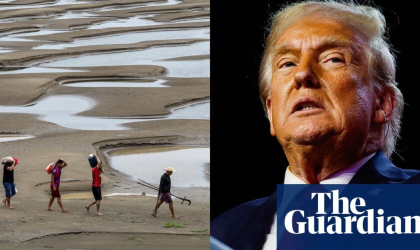 ‘A wrecking ball’: experts warn Trump’s win setbacks global climate action