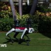 ‘Do not pet’: Why are robot dogs patrolling Mar-A-Lago?