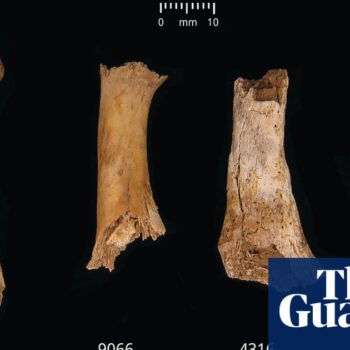 ‘Something horrible’: Somerset pit reveals bronze age cannibalism