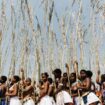 Danse des roseaux et test de virginité : les Zoulous sud-africains veillent sur leurs traditions