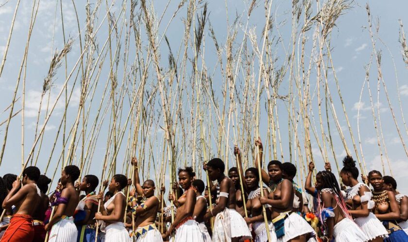 Danse des roseaux et test de virginité : les Zoulous sud-africains veillent sur leurs traditions