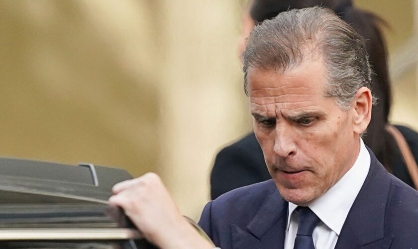 How did the cases against Hunter Biden unfold?