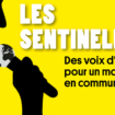 “Les Sentinelles” : qu’est-ce que le créole ?