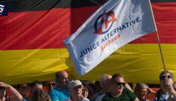 AfD will offenbar Jugendorganisation Junge Alternative auflösen