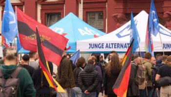 AfD will sich von Junger Alternative trennen – und Ersatz gründen