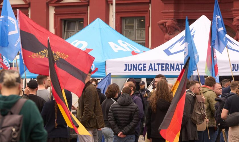 AfD will sich von Junger Alternative trennen – und Ersatz gründen