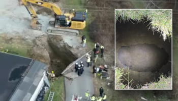 Missing grandma believed to have fallen in sinkhole while searching for lost cat: 'Never came back'