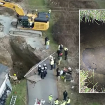 Missing grandma believed to have fallen in sinkhole while searching for lost cat: 'Never came back'