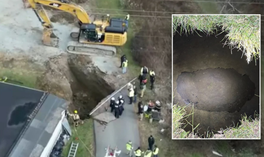 Missing grandma believed to have fallen in sinkhole while searching for lost cat: 'Never came back'