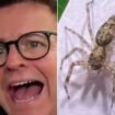 Dec jokes he’s ‘lucky to be alive’ after being bitten by a spider on I’m a Celebrity