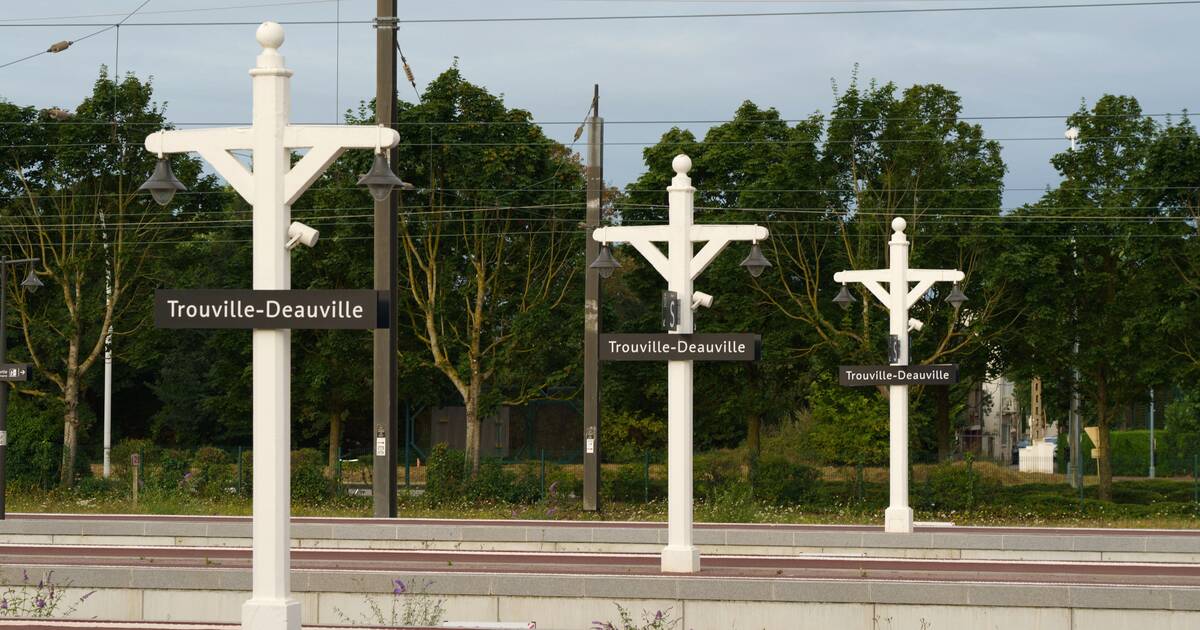 Tempête Darragh : aucun train ne circulera en Normandie ce week-end en raisons de vents violents