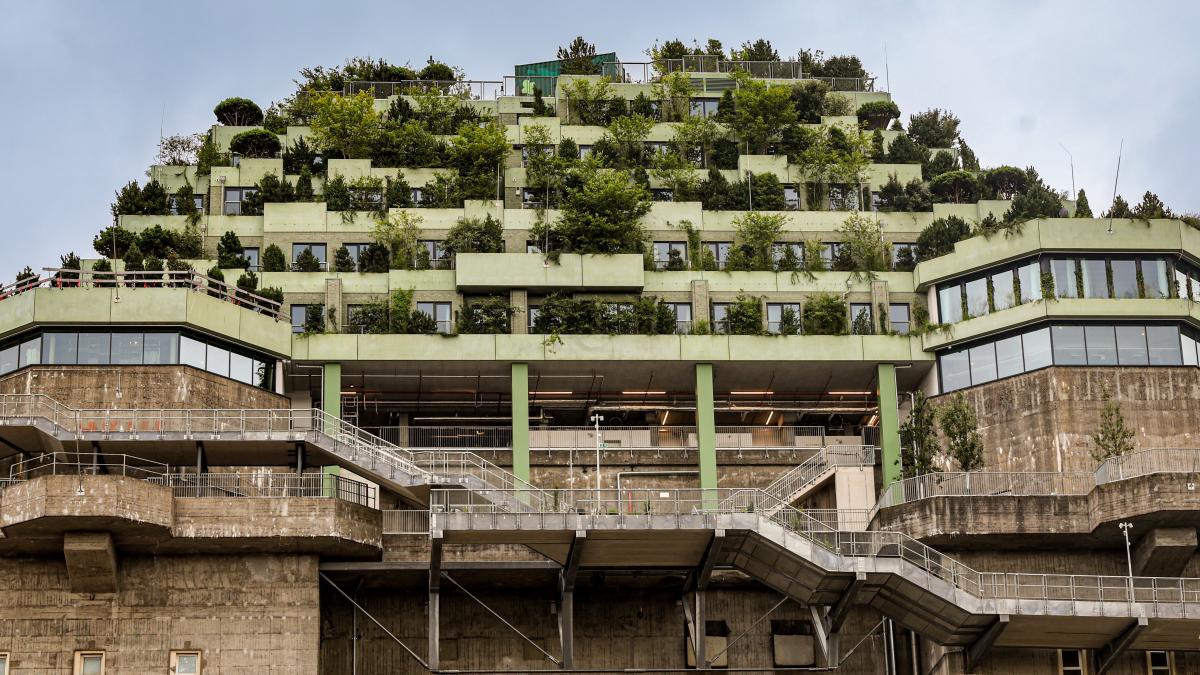 Wie der Grüne Bunker in kurzer Zeit die Massen anzieht