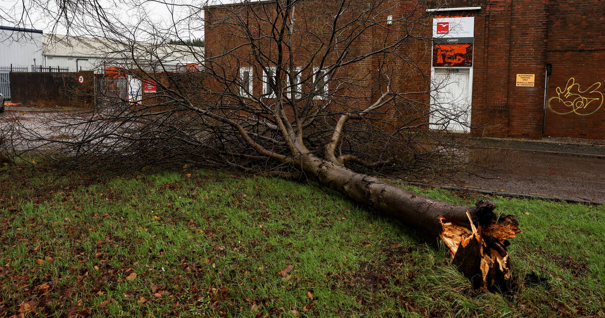 Tempête Darragh : quinze départements français placés en vigilance orange, le Royaume-Uni particulièrement touché