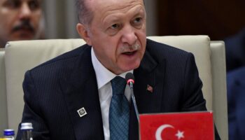 Rebellen-Offensive in Syrien: Erdoğan sieht in Syrien "neue politische Realität"