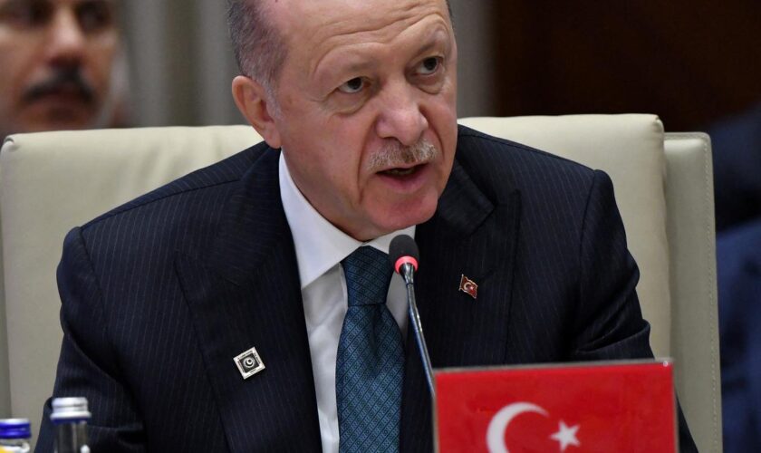 Rebellen-Offensive in Syrien: Erdoğan sieht in Syrien "neue politische Realität"