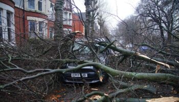 Storm Darragh causes chaos across UK as 96mph winds leave one dead and hundreds of thousands without power