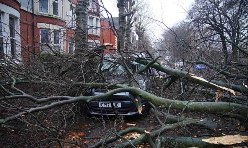 Storm Darragh causes chaos across UK as 96mph winds leave one dead and hundreds of thousands without power