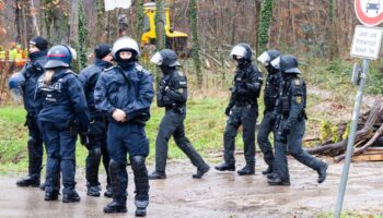 Aktivisten wollen Rodung von Bäumen verhindern – Polizei räumt Wald in künftigem Neubaugebiet