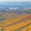 Reise zu den Winzern rund um Stuttgart