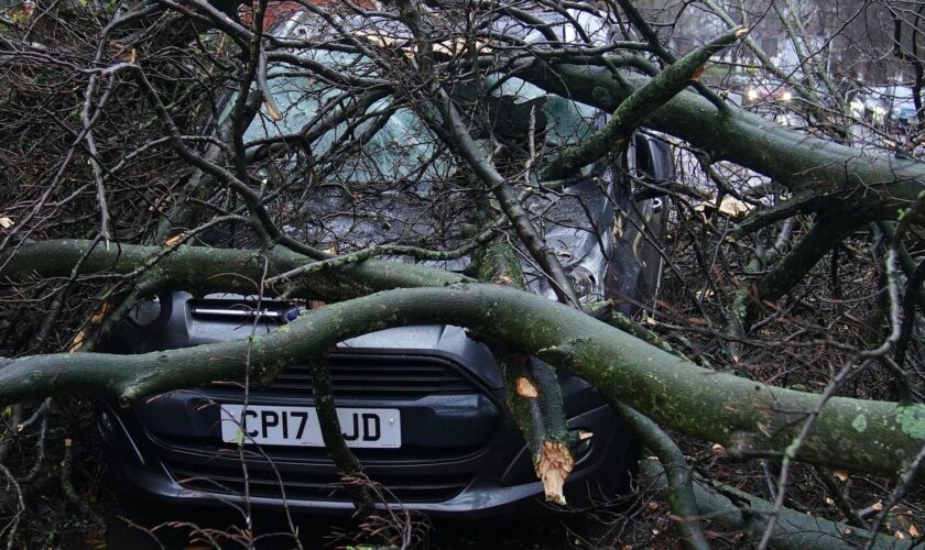 Fresh weather warnings in place for Sunday after Storm Darragh wreaks havoc