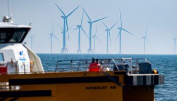 Des éoliennes offshore situées dans la mer Baltique.