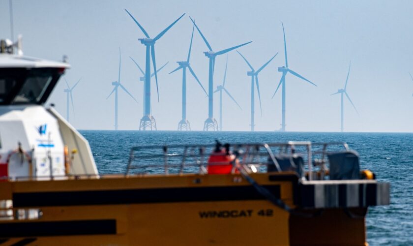 Des éoliennes offshore situées dans la mer Baltique.