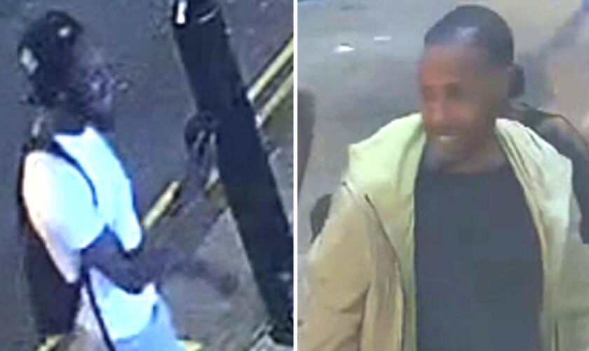 Images released of two possible witnesses who may hold 'vital' information over death near Notting Hill Carnival