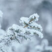 Météo : nouvel épisode de froid, ce qu'il amène chez vous peut surprendre