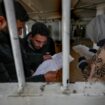 Syrians crowd Assad’s most notorious torture prison in hunt for missing loved ones