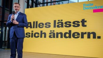 Mit diesen Plakaten zieht die FDP in den Wahlkampf