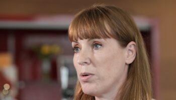 Angela Rayner forces councils to surrender green belt with immediate new housing targets