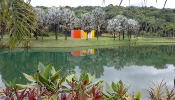 Inhotim, un extraordinaire musée jardin brésilien