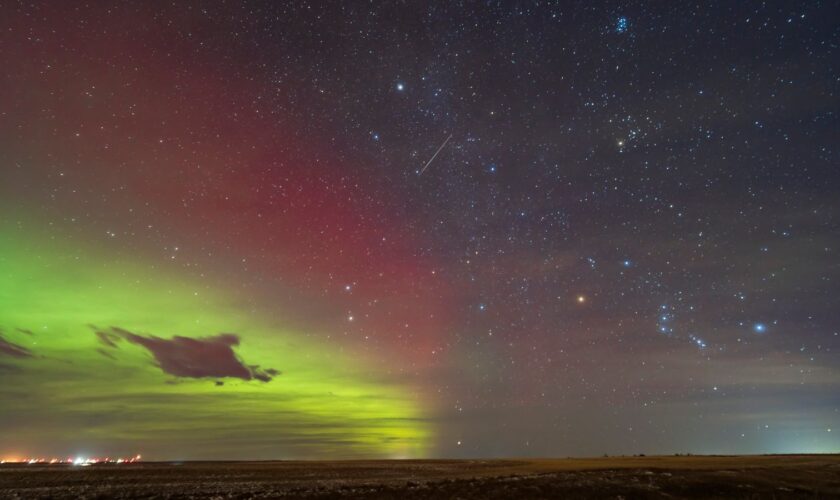 The Geminids being observed from Canada last year. Pic: Alan Dyer / VWPics/ AP