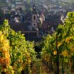 Le millésime 2013 des vins d'Alsace exprime une belle minéralité, estiment les professionnels