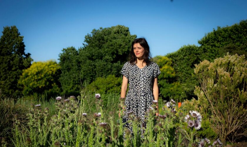 Inès Léraud raconte un immense gâchis : le remembrement