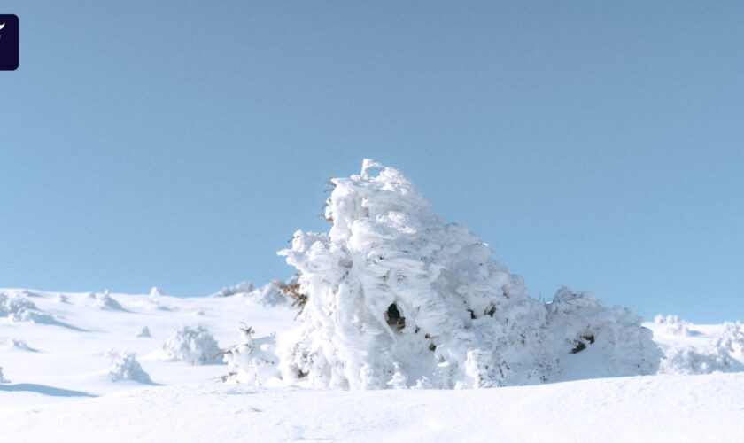 Die Massengräber unter dem Schnee: Der Roman „Unmöglicher Abschied“ der Nobelpreisträgerin Han Kang