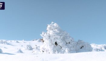 Die Massengräber unter dem Schnee: Der Roman „Unmöglicher Abschied“ der Nobelpreisträgerin Han Kang