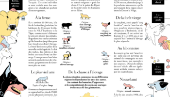 L’histoire de la domestication des animaux en images