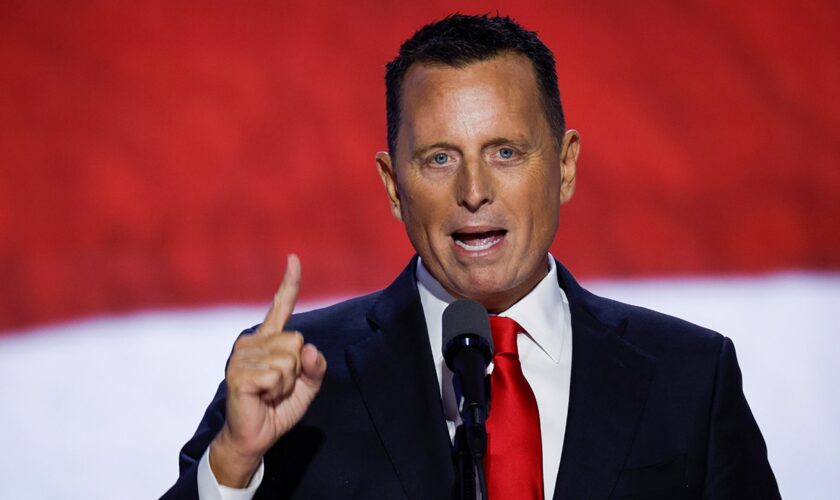 Trump taps Richard Grenell as presidential envoy for special missions, Edward S. Walsh as Ireland ambassador