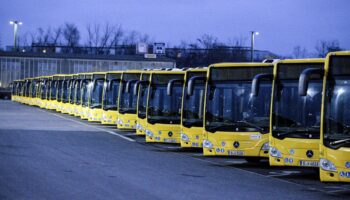 Bus und Bahn: Verkehrsunternehmen warnen vor Weggang syrischer Beschäftigter